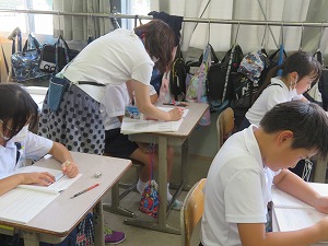 IMG_4650 IMG_4650