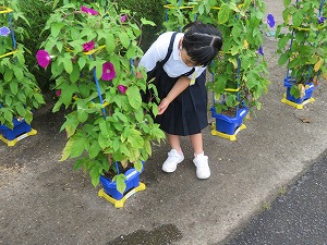IMG_4655 IMG_4655