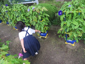 IMG_4657 IMG_4657