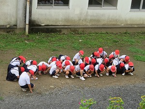 IMG_4743 IMG_4743