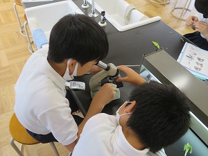 IMG_4797 IMG_4797