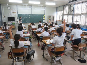 IMG_4917 IMG_4917