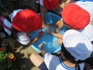 IMG_4922 IMG_4922
