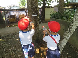 IMG_4925 IMG_4925