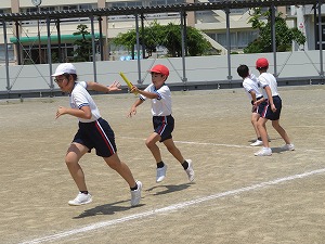 IMG_5065 IMG_5065