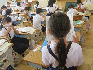 IMG_5119 IMG_5119
