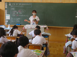 IMG_5096 IMG_5096