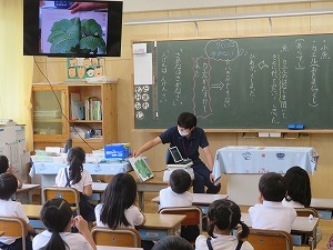 IMG_5146 IMG_5146