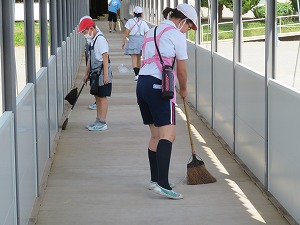 IMG_5152 IMG_5152