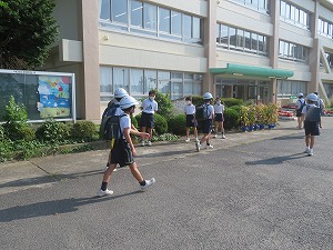 IMG_5181 IMG_5181