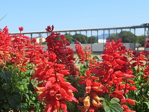 IMG_5213 IMG_5213