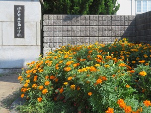IMG_5218 IMG_5218