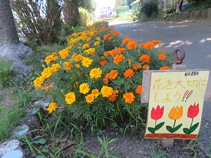IMG_5205 IMG_5205