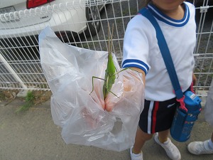 IMG_5276 IMG_5276