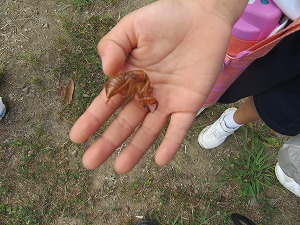 IMG_5278 IMG_5278