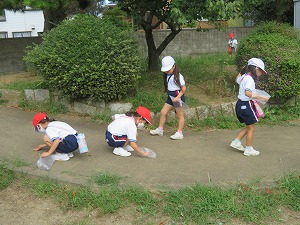 IMG_5281 IMG_5281