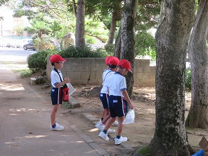 IMG_5285 IMG_5285