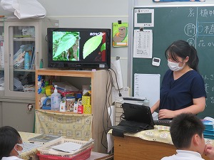 IMG_5336 IMG_5336