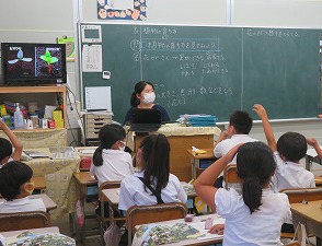 IMG_5335(2) IMG_5335(2)