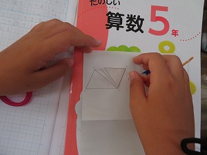 IMG_5371 IMG_5371