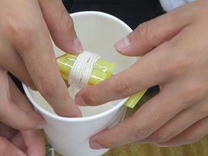 IMG_5416 IMG_5416