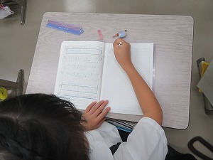 IMG_5489 IMG_5489