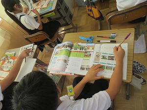 IMG_5500 IMG_5500