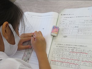 IMG_5508 IMG_5508