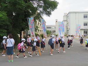IMG_5527 IMG_5527