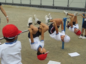 IMG_5540 IMG_5540