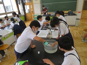 IMG_5756 IMG_5756