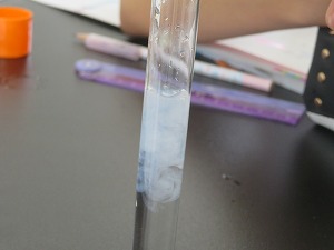 IMG_5785 IMG_5785