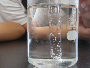 IMG_5790 IMG_5790