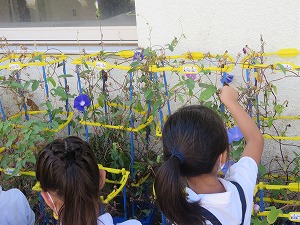 IMG_5855 IMG_5855