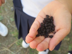 IMG_5859 IMG_5859