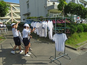 IMG_5865 IMG_5865