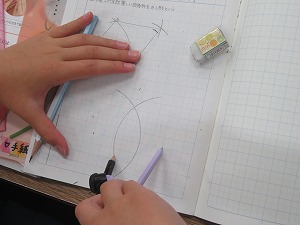 IMG_5884 IMG_5884