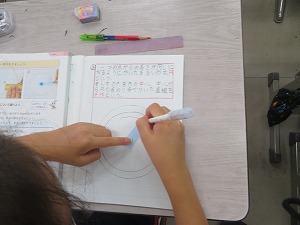 IMG_5892 IMG_5892