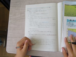 IMG_5914 IMG_5914