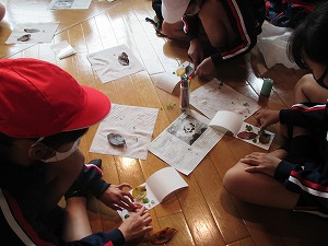 IMG_0891 IMG_0891