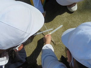 IMG_6369 IMG_6369