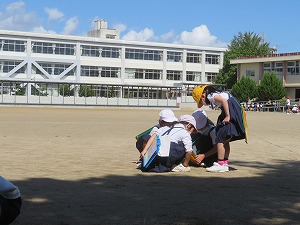 IMG_6382 IMG_6382