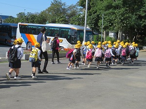 IMG_6478 IMG_6478
