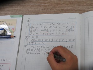 IMG_6533 IMG_6533