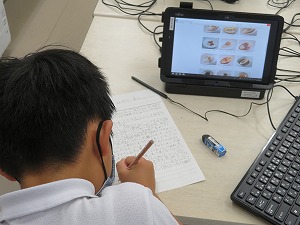IMG_6712 IMG_6712