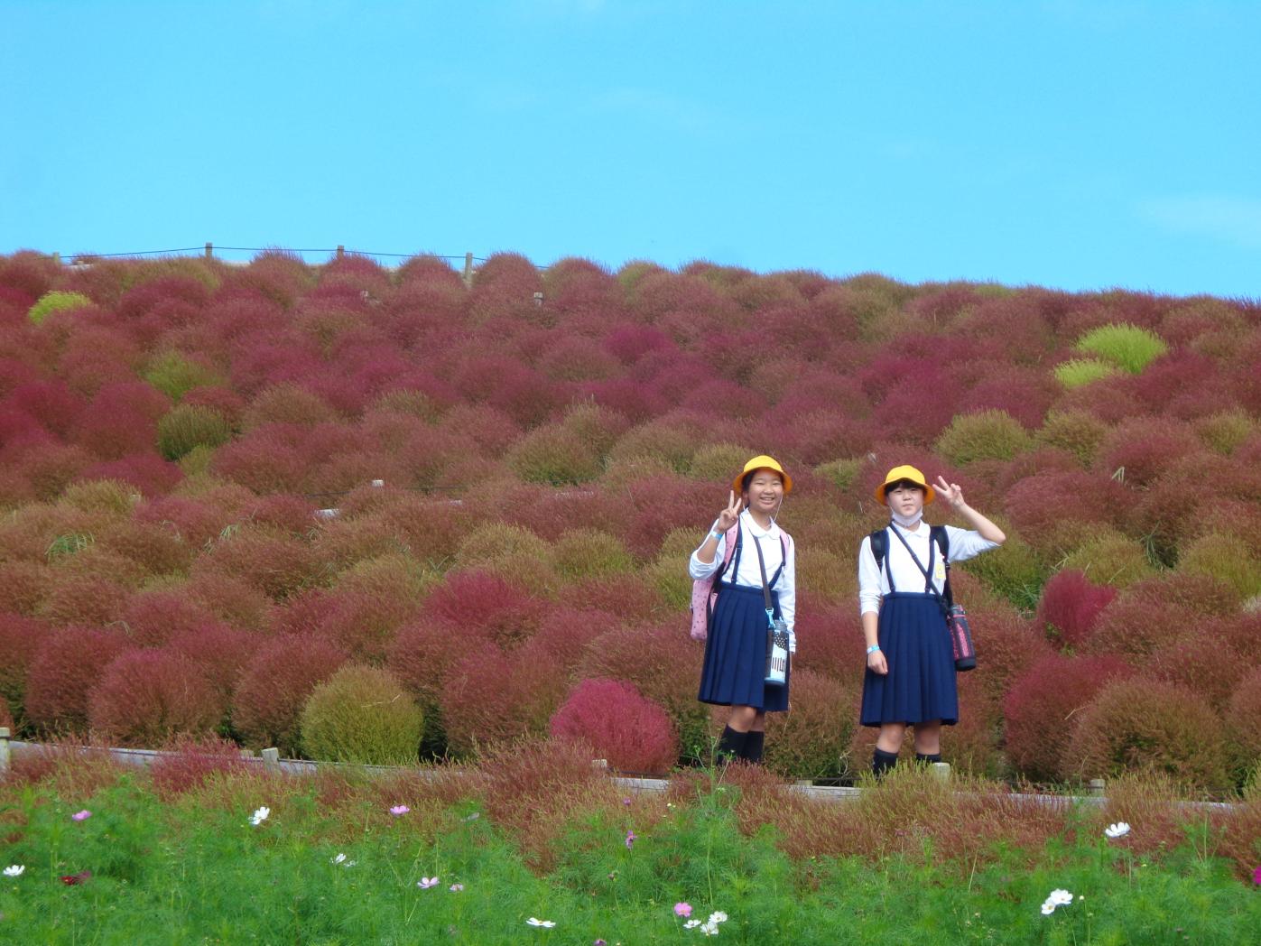 DSC00391 DSC00391