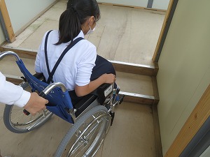 IMG_6790 IMG_6790