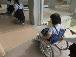 IMG_6795 IMG_6795