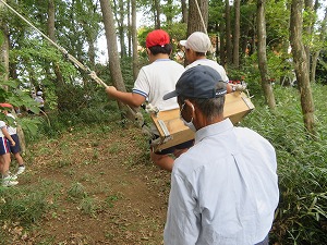 IMG_6805 IMG_6805