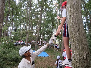 IMG_6817 IMG_6817